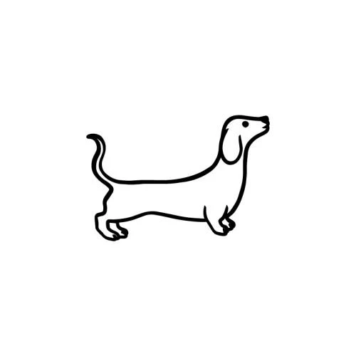 The Dachshund - Image 3