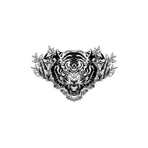 Tigris - Image 3