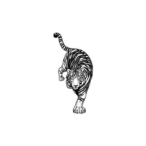 Triumph - Image 3