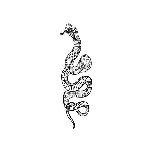 Viper - Image 2