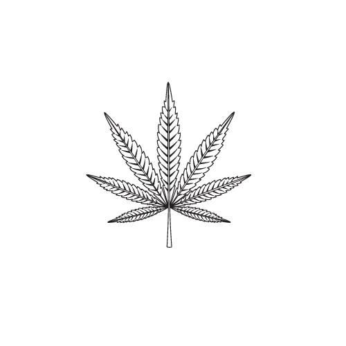Weed - Image 2
